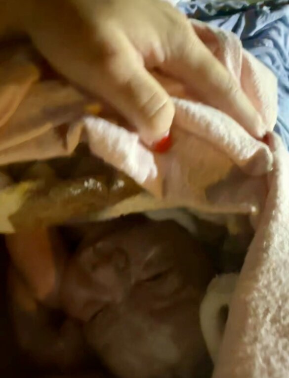Close-up of newborn baby Onyx wrapped snugly in a soft blanket moments after his mum's quick positive car birth